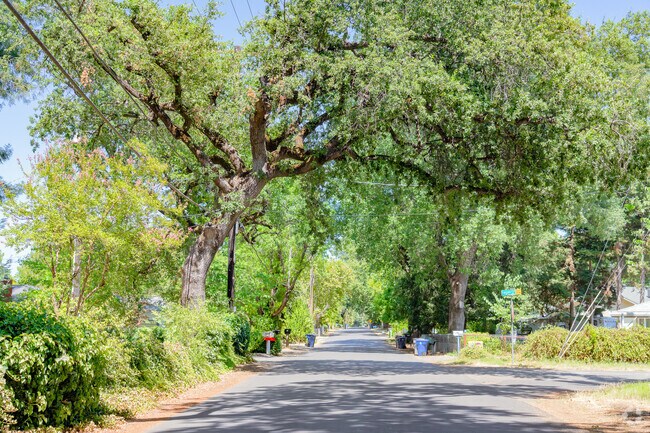 Large mature trees cover many streets in Bonnyview.