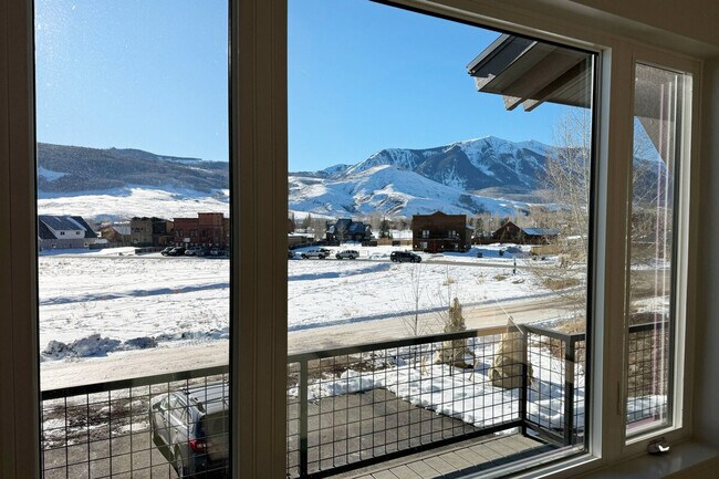 103 Haverly St unit ID1071978P, Crested Butte, CO 81224 - photo 5