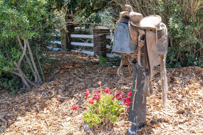 Green Point offers a quaint rural environment celebrated by this old saddle on a mailbox.