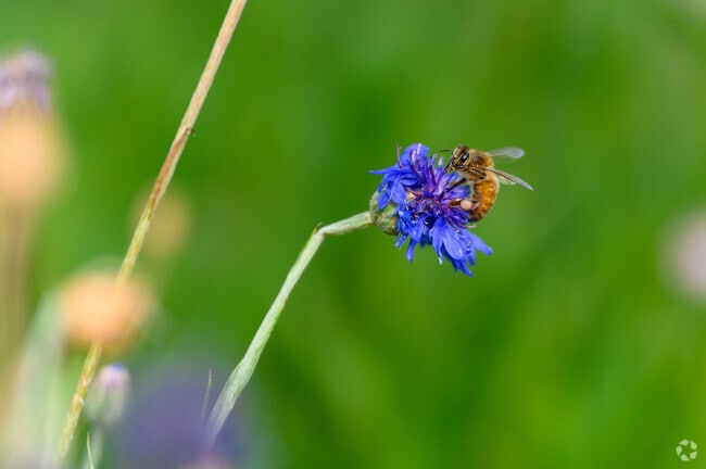 Look closely and take in the nature all around in Landmark/Van Dorn.