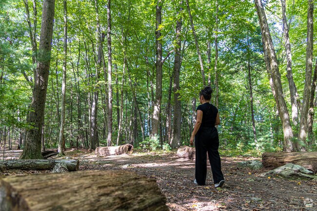 Enjoy a stroll through the Storer Reservation near Bentley College.
