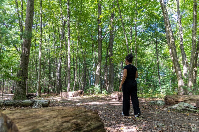Enjoy a stroll through the Storer Reservation near Bentley College.