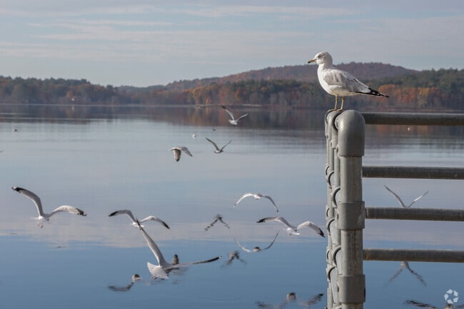 Do some bird watching at Quaboag Pond near Brimfield.