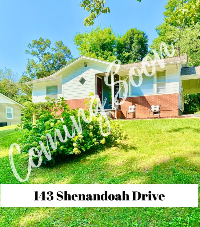 143 Shenandoah Dr, Johnson City, TN 37601