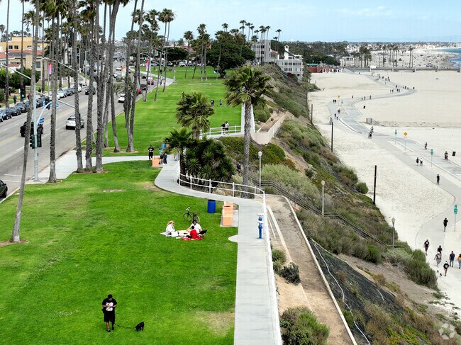 Long Beach, CA offers Dog Walking at Bluff Park.