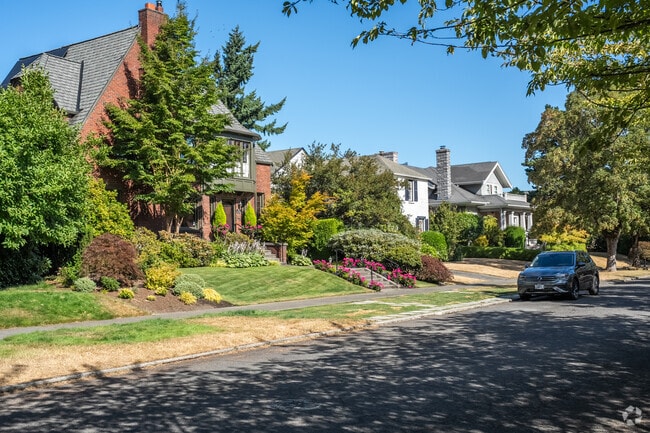 A row of homes in a typical Portage Bay street, with manicured front lawns.