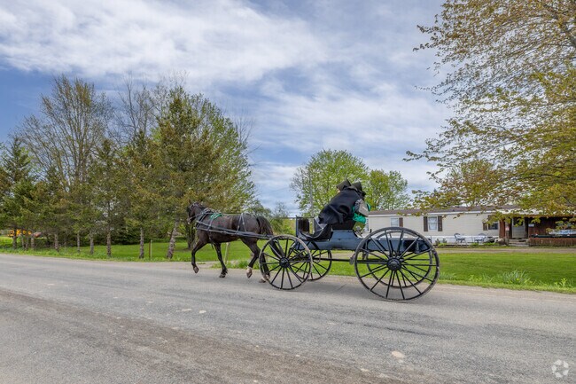 There are many Amish owned farms that sell locally grown meats and produce in Villenova.