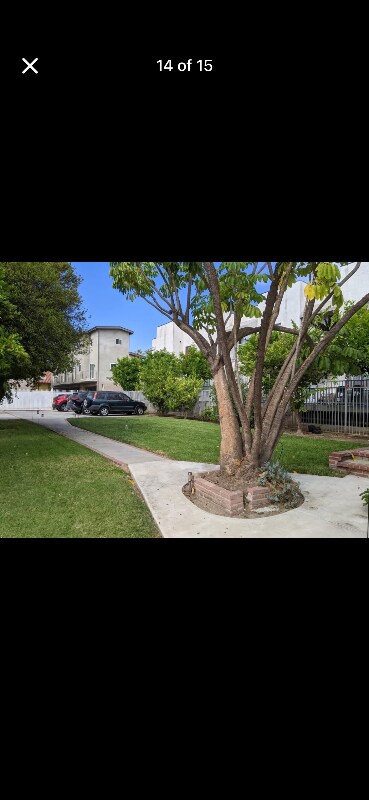 835 N Raymond Ave, Pasadena, CA 91103 - photo 5