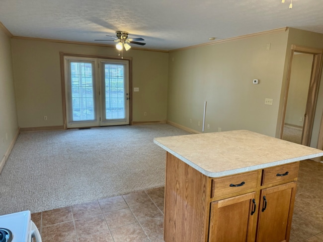 1616 Spring Valley Dr unit Park Place 48, Huntington, WV 25704 - photo 4