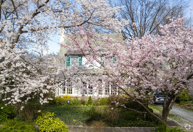 Walk Oakenshawe Beautiful Tree lined Streets