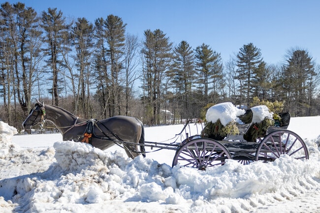 Saco is a picturesque neighborhood during the holiday season.
