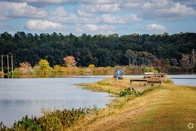 The lakes in Southeast Tallahassee are relaxing, great for fishing or reading a book.