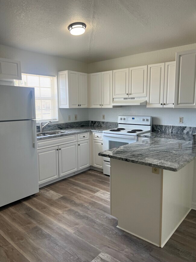 10770 US Hwy 19 N unit 5, Pinellas Park, FL 33782 - photo 4