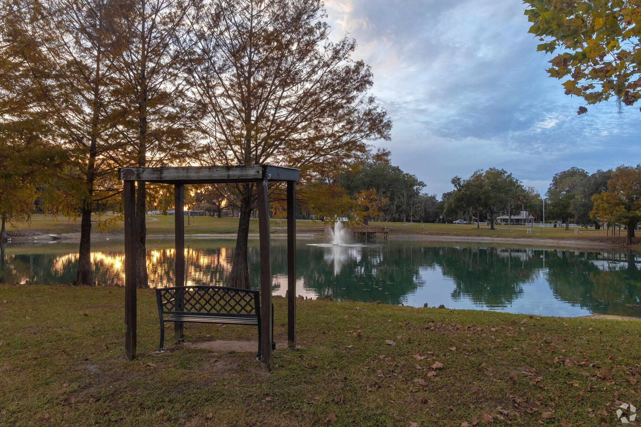 About Belleview Schools, Demographics, Things to Do