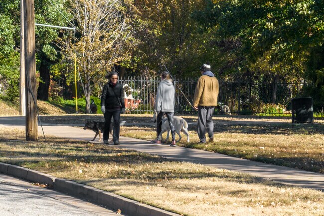 Dogs love going on walks through the Longview neighborhood.