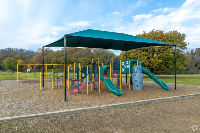 Shady Shores Elementary