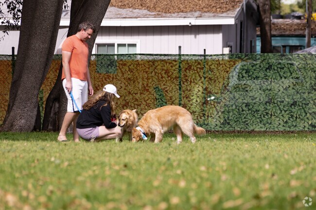 Uptown Dog Park on Long Beach Boulevard is loved by all four legged friends.