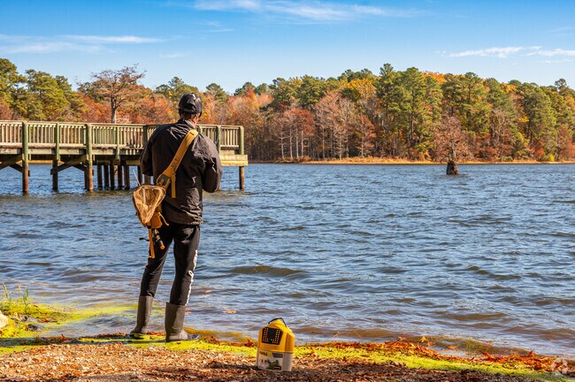 Harwood Mills Park is a destination for fishing and other outdoor activities.