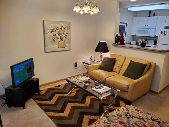 501 Plaza Dr unit ID1059801P, Madison, WI 53719 - photo 4