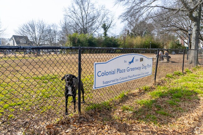 Friendly dogs greet you at the Colonial Place Greenway Dog Park in Colonial Place.