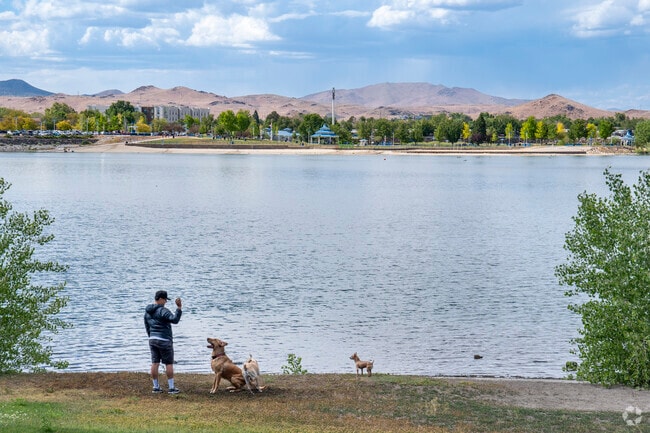 Sparks Marina has a gated dog park connected to the shoreline which dogs will love for playtime.