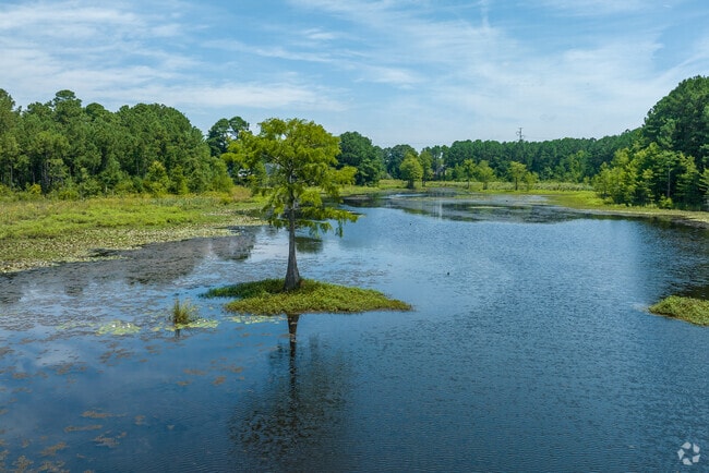 Buckhead Creek winds its way through the neighborhood of Douglas Byrd