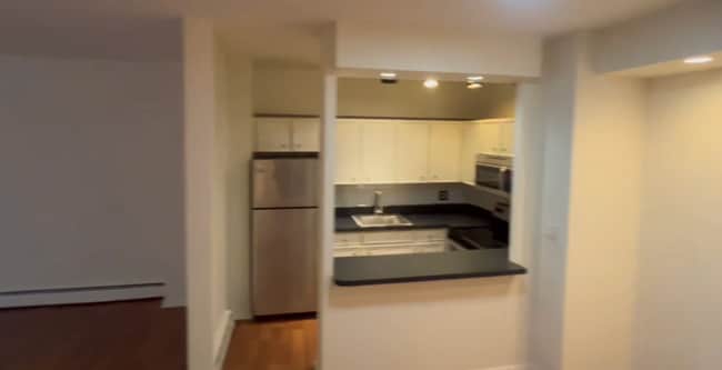 57 E Chestnut St, Chicago, IL 60611 - photo 4