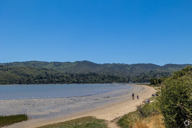 Millerton Park is full of people on weekends in Marshall.