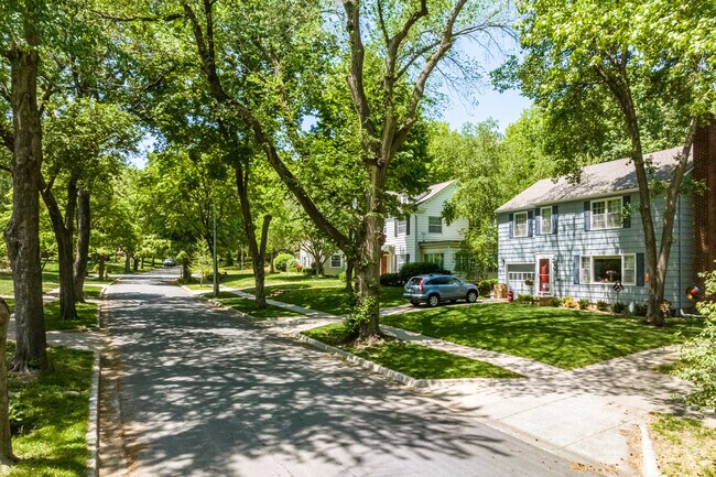 Neighborhood of small lots exuding 20th-century living