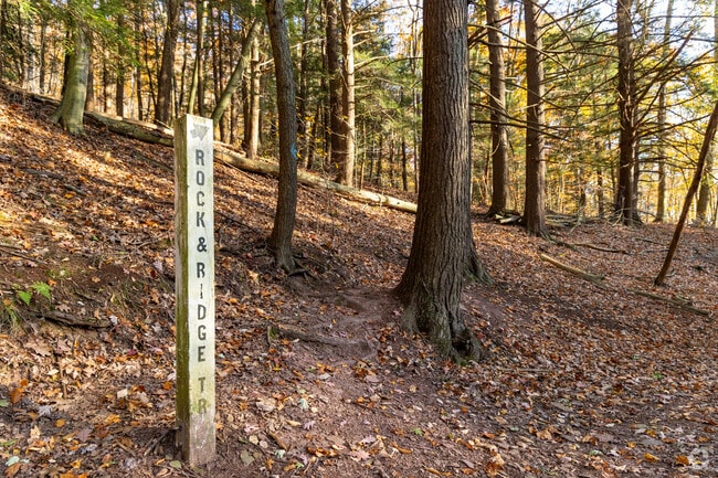 Hiking trails at Blue Knob State Park is just a short drive from Claysburg.