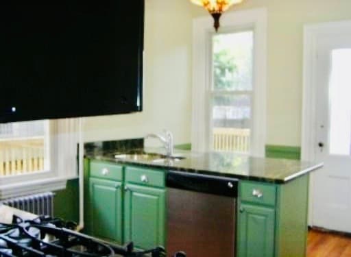 46 Alleghany St, Boston, MA 02120 - photo 1