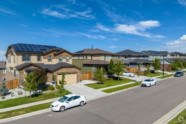 Harmony Park residents enjoy their spacious New Traditional homes.