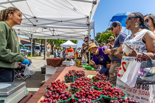 The Cherry Festival is the longest-standing city event with cherry-themed festivities.