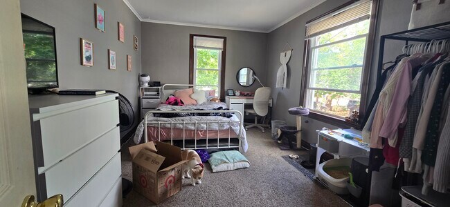 109 Hill St unit 4, Ann Arbor, MI 48104 - photo 7