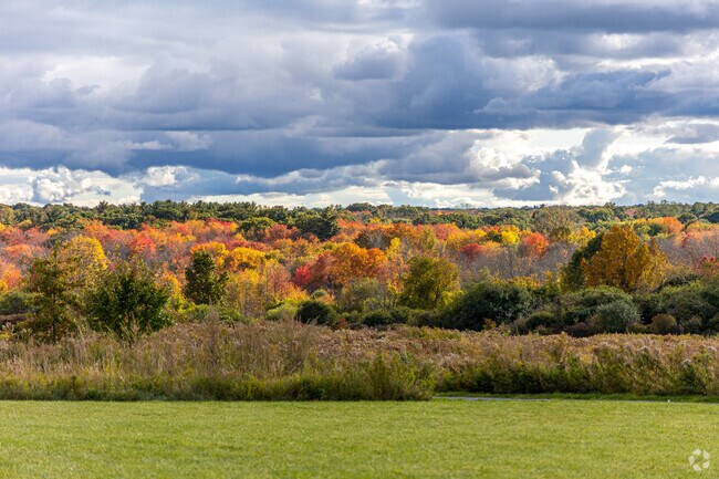 From grassy fields to lush forest the Mary Cummings Park is a great place explore in Woods Corner.