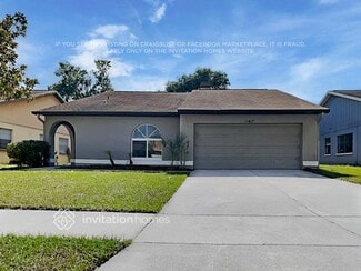 11417 Smokethorn Dr, Riverview, FL 33579