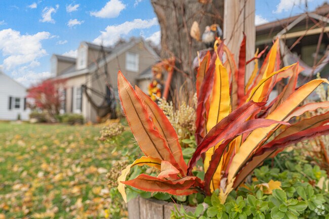 Known for it's beauty and historic downtown, Joliet, IL was founded in 1852.