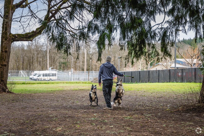 At the Carnation Off-Leash Dog Park near Ames Lake, residents like to play with their dogs.