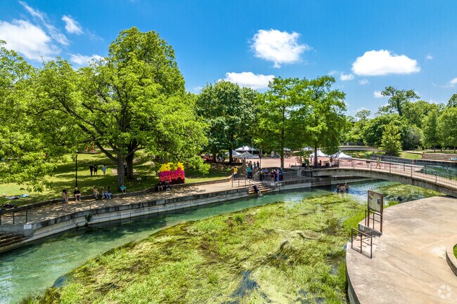The San Marcos River stays a cool 72°F year-round from natural springs.