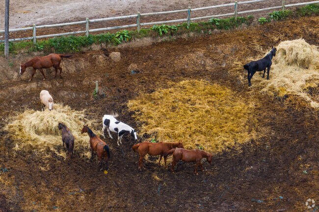 Many village homes in West Carroll feature barns and horse stables on the property.