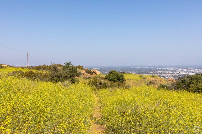 Trail scenery at Santa Susana State Historic Park.