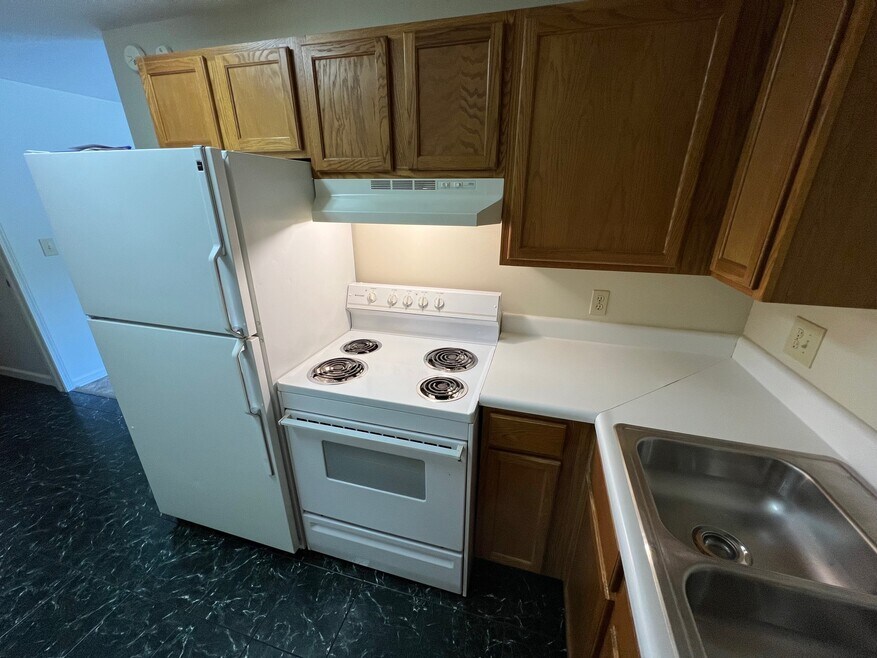 115 Main St unit 3, Moravia, NY 13118 - photo 1