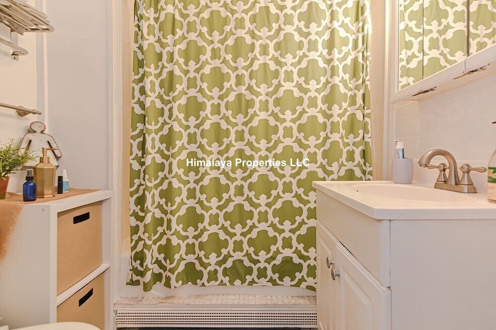 139 Hillside St, Roxbury Crossing, MA 02120 - photo 1