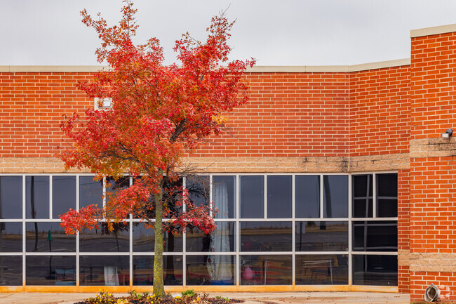 Deer Creek Elementary School had a beautiful tree at the side.