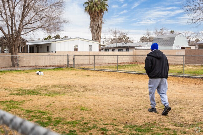Desert Inn Park contains a dog park for local dog owners in Paradise Valley East.