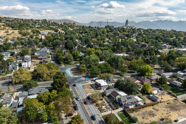 Mature trees beautiful the streets of Capitol Hill.