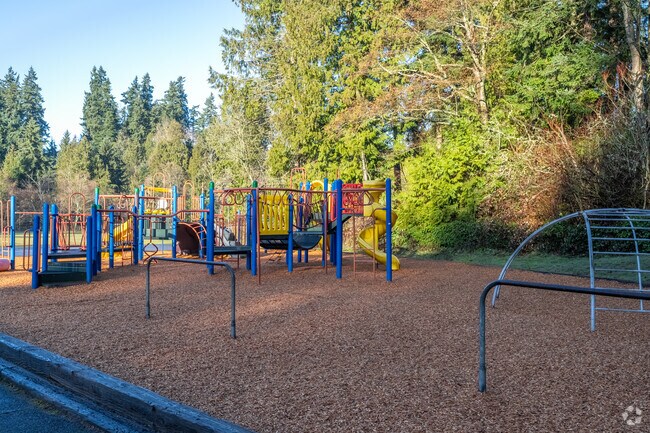 Brier Elementary School playground.