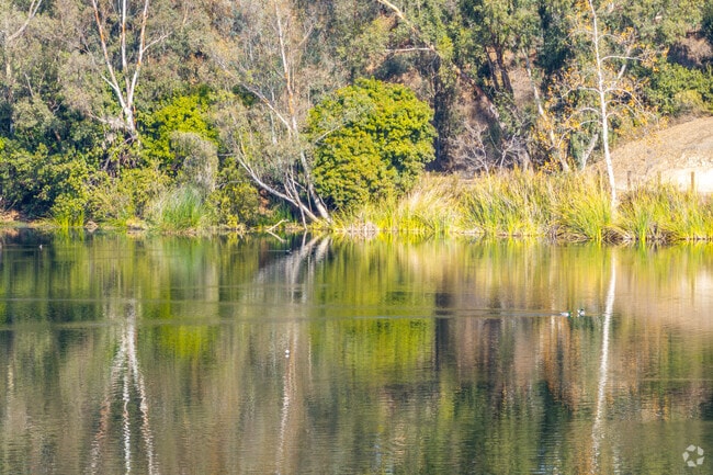 Laguna Lake is a popular destination for a peaceful day out in Laguna Niguel City.