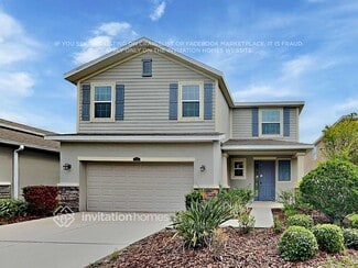 11618 Warren Oaks Place, Riverview, FL 33578