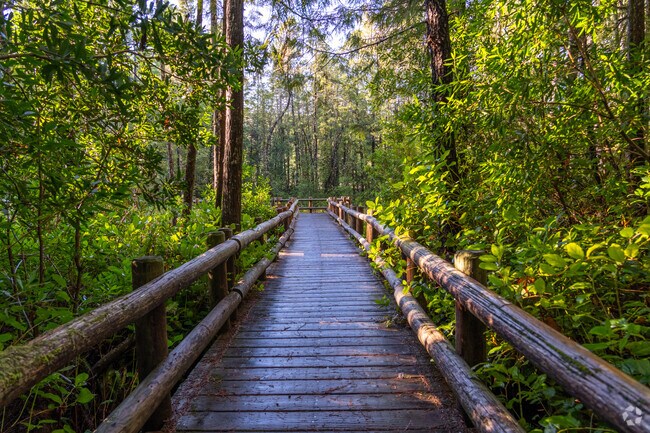 Darlingtonia State Natural Site has a boardwalk to the viewing area of the park in Florence.